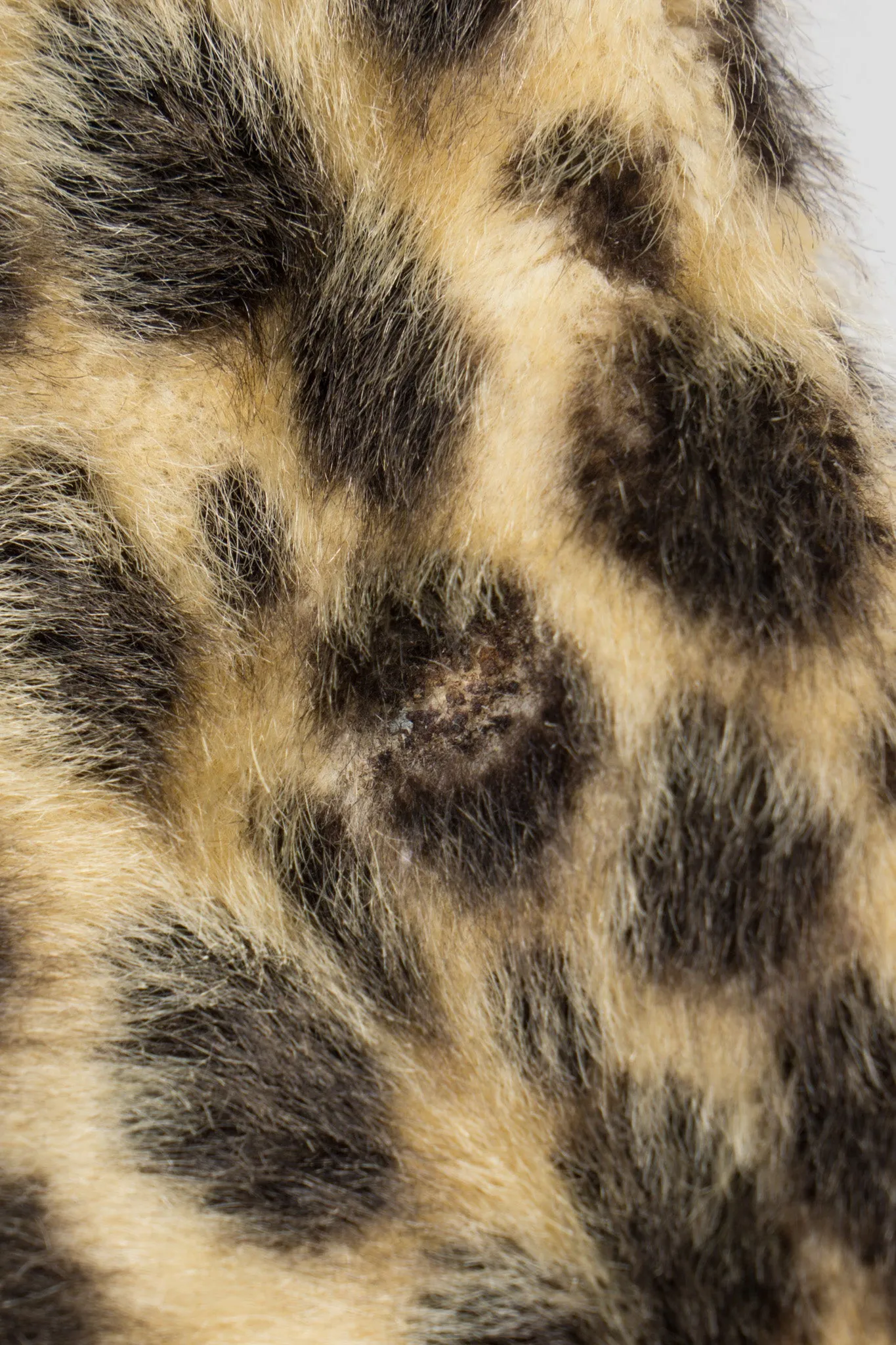 Faux Leopard Fur Peacoat